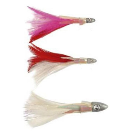 Diamond Eye Montado