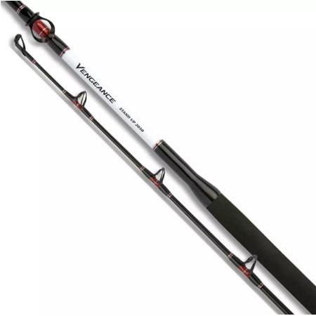 Caña Shimano Vengeance Stand-Up