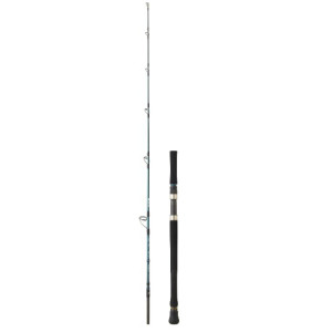 Caña Daiwa Grandwawe SJ 66 HB