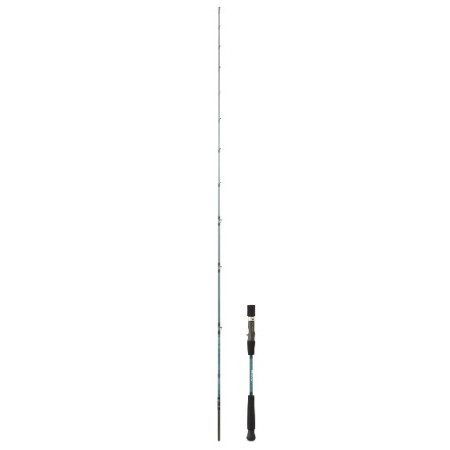 Caña Daiwa Grandwawe SJ 66 XHB