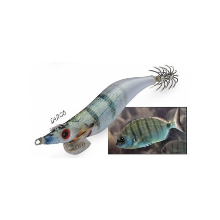 Jibionera DTD Weak Fish Oita PAINTED COMBER