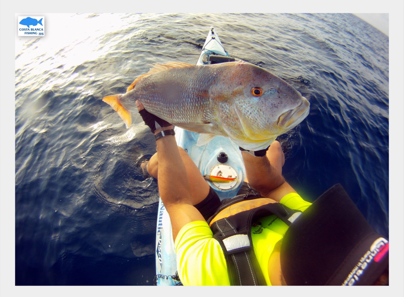señuelos para jigging