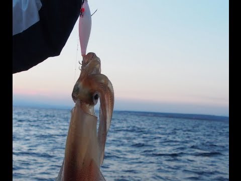 Pescando CALAMARES en Abril! 