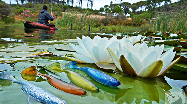 pesca en primavera