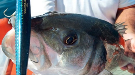 señuelos para jigging