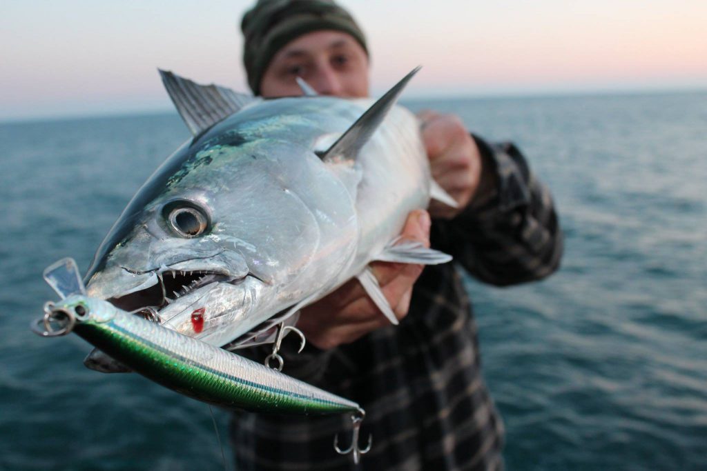 señuelos para la pesca del atún