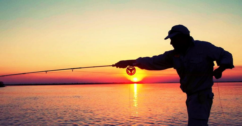 movimiento de la caña en la pesca a spinning