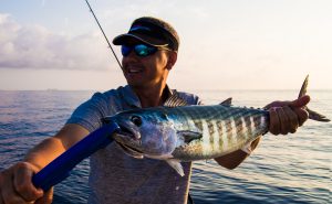 pesca en otoño de bonito
