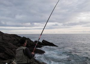 pesca de bogas en la costa