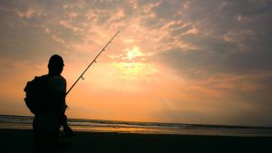 amanecer pesca de caballas