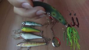 señuelos de invierno