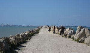 cómo pescar caballas desde espigón