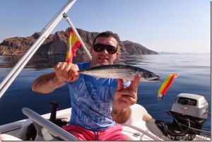 cómo pescar caballas