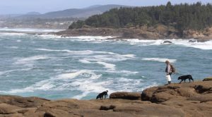 rockfishing_2015_1-672x372