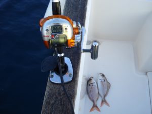 pesca de besugos en embarcación