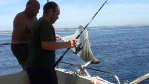 pesca de chopa
