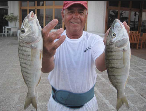 capturas de herreras