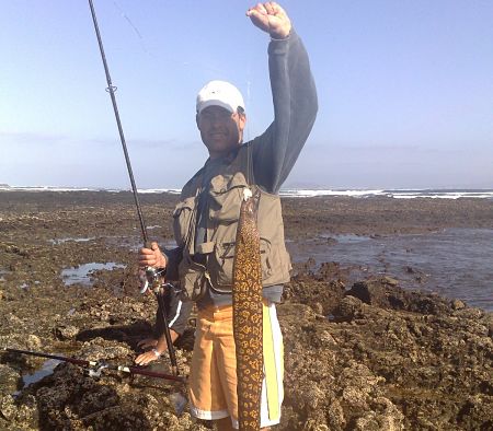 Guía completa para la pesca de Aligote desde Costa 