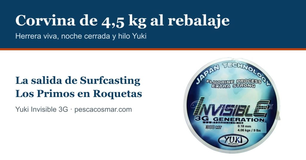 Corvina de 4,5 kg al rebalaje con herrera viva y hilo Yuki Invisible 3G